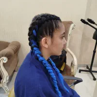 بافتمو هلندی به مدت۱هفته فقط ۲۵۰