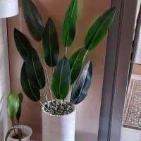 برای فروش
