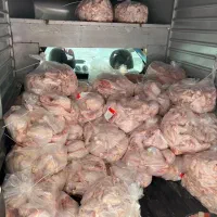پخش مرغ و قطعه بندی