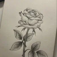 آموزش طراحی مداد