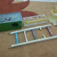 لوازم مرغ عشق