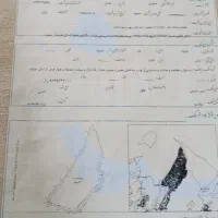 550 متر شاندیز ابراهیم خان