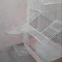 *قفس پرنده*