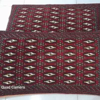 یک جفت پشتی سالم