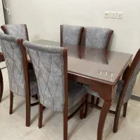 ناهارخوری طوسی فیلی