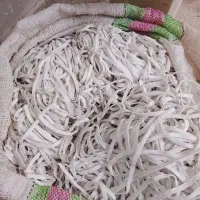 کش یه سانتی