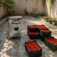 آبگیری گوجه و آب گوجه گیری سیار درب منزل