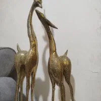 دوغزال برنزی