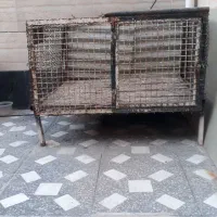 قفس|لوازم جانبی حیوانات|بندر گناوه, |دیوار