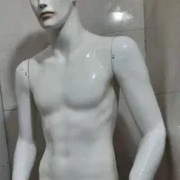 مانکن مردانه گراد در حد