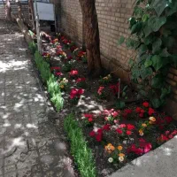 خدمات باغبانی سیروس به تمام نقاط تهران