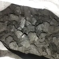 ذغال گونی
