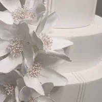 کرایه ماکت کیک تولد و عروسی  (رویای واقعی ببینید)