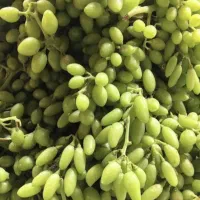 آب غوره عسگری