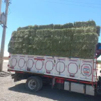 فروش یونجه شوشتر
