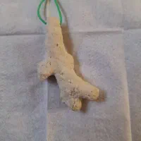 گردنی مرجان طبیعی کهنه