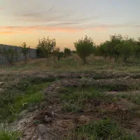 فروش-باغچه-400-متری