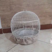 قفس پرنده