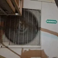 کندانسور ۳۰ هزار اجنرال