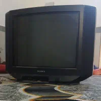 تلوزیون