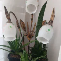 آباژورسه لاله بدونه ایراد