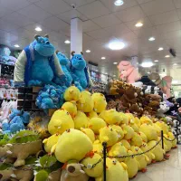 حسابدار خانم