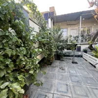 580 متر باغچه/سند تک برگ/اسب زین شده