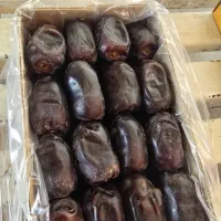 حراج خرما مضافتی بم