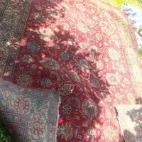 قالی|فرش|بجنورد, |دیوار