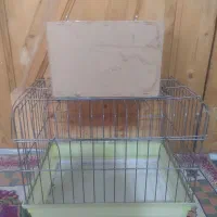سه تا قفس سالم دوتاش لونه داره