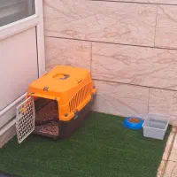 فروش خواب سگ  نو