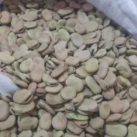حبوبات