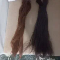 سرمانکن