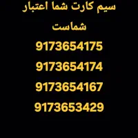 9173654175
