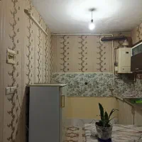 همخونه هم خانه
