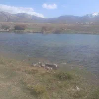 فروش زمین سربیژن سی وپج تاپنجا