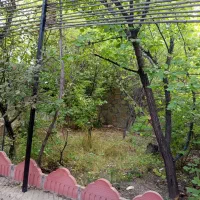 باغ-شهمیرزاد-600متر-رودخانه