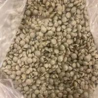 گرانول pe