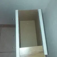 لانه طوطی برزیلی