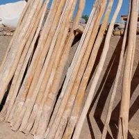 چوب خریداریم|خدمات باغبانی و درختکاری|اراک, |دیوار