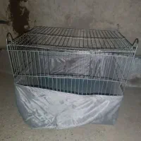 قفس قناری
