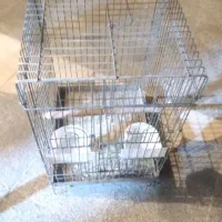 قفس طوطی 1032