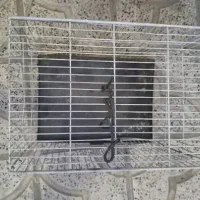 قفس