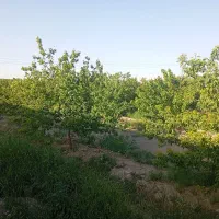 فروش-باغ-ویلا-در-صحرا-مزرا-قهدریجان