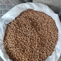 نخود