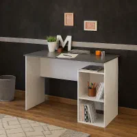 میزتحریر مدل بردیا با ارسال رایگان