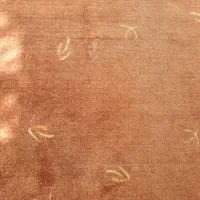 موکت|موکت|مشهد, پارک کوهستان|دیوار