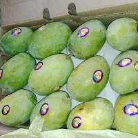انبه پاکستانی