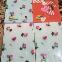 دفتر فنری
