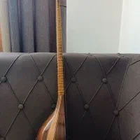 سه‌تار حرفه‌ای